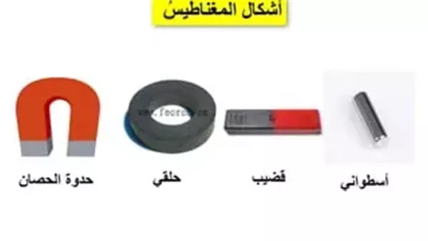 موقع أيام نيوز