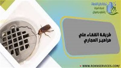افضل طريقة للقضاء على الصراصير في المجاري