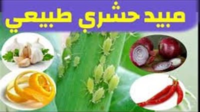 كيفية صناعة مبيد حشري طبيعي