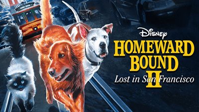 قصة فيلم Homeward Bound II: Lost in San Francisco