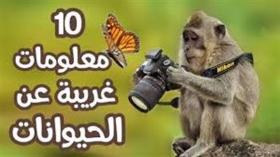 ما هل تعلم عن الحيوانات