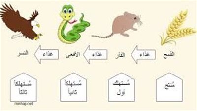  سلاسل غذائية للحيوانات