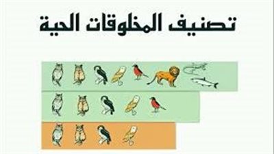 ما تصنيف المخلوقات الحية