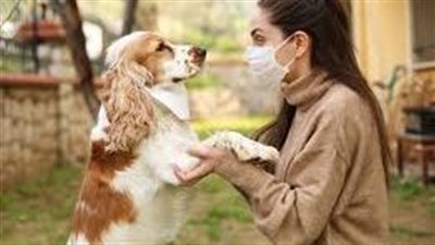 افضل طريقة لحماية الحيوانات