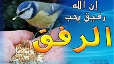 تعبير عن الرفق واللين