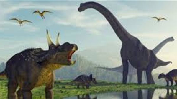 موقع أيام نيوز