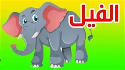 كا ما تريد معرفته عن حيوان الفيل للأطفال