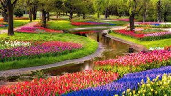 موقع أيام نيوز