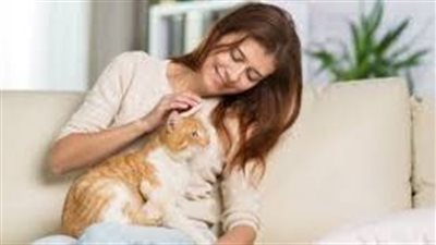 كيف أعتني بقطتي