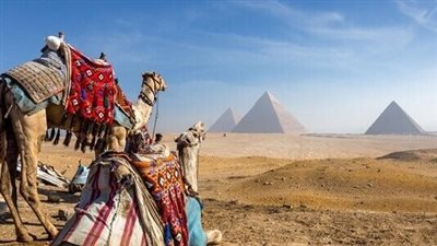  تعبير عن معاملة السائحين