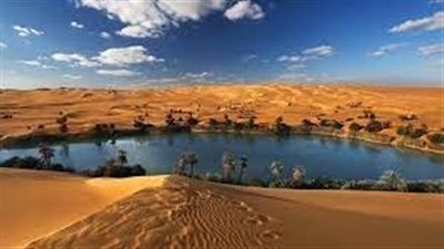  تعبير عن واحة سيوة والنوبة