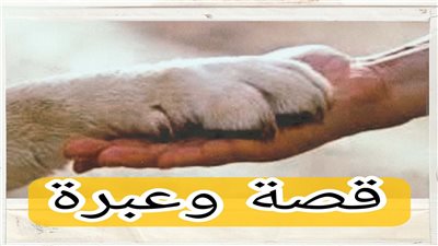 قصة مع حكمة تنكروا العشرة بسبب موقف