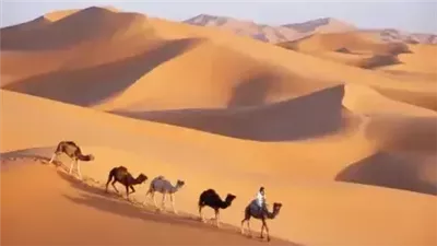 معلومات عامة غريبة لم نتوقعها 