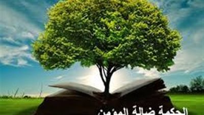 أجمل ما قيل عن الحكمة