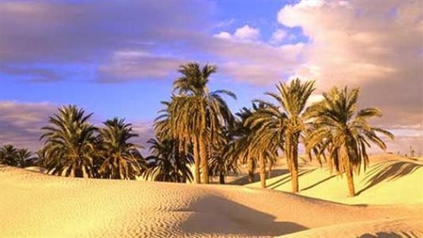 موقع أيام نيوز