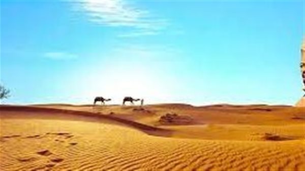 موقع أيام نيوز
