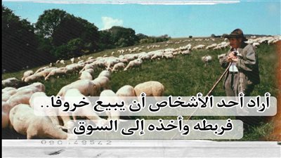 قصة أراد ا الاشخاص ان يبيع خروفا