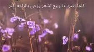 أجمل ما قيل عن الربيع