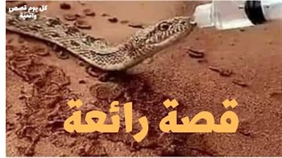قصة كان هناك شاب يعمل فى شركة بترول في الصحراء