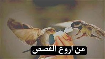 قصة دخل علي اخي وقال لي دائما وانتي في المطبخ
