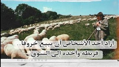 قصة أراد ا الاشخاص ان يبيع خروفا
