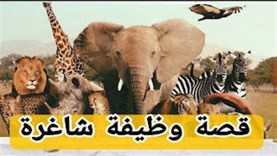  قصة وظيفة شاغرة