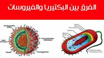 الفرق بين البكتيريا والفيروس