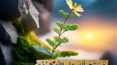 حكم وأقوال رائعة