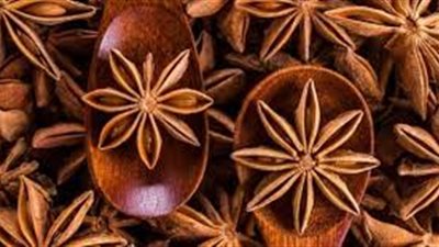افضل طريقة لاستخدام اليانسون النجمي