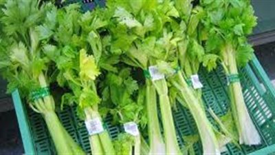 ما فوائد النباتات الطبيعية