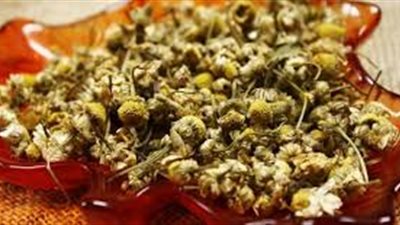 كل ما تريد معرفته عن شيح البابونج