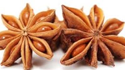 ما فوائد عشبة نجمة الأرض