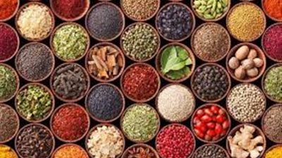 كل ما تريد معرفته عن فوائد النباتات الطبية