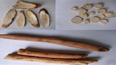 كل ما تريد معرفته عن عود الصليب