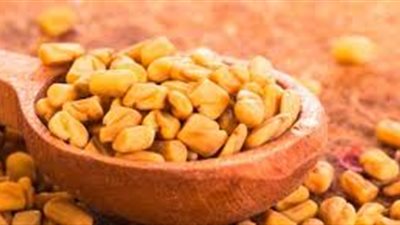 ما هي أضرار الحلبة