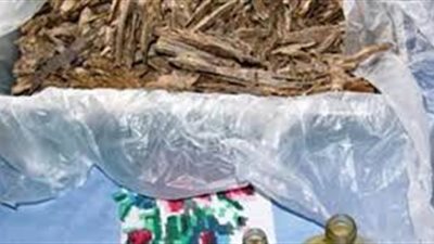 من أين يستخرج العود