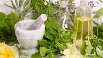 خصائص النباتات الطبيعية وفوائدها للإنسان