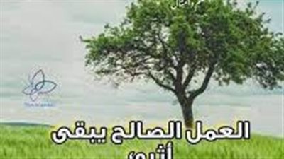 أجمل الحكم عن الشجرة