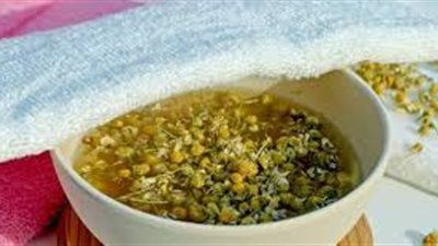 كل ما تريد معرفته عن النباتات الطبية