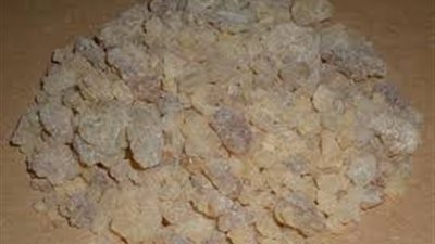 كل ما تريد معرفته عن اللبان