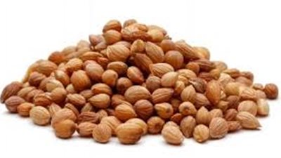 كل ما تريد معرفته عن المحلب