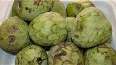 ما هي ثمرة الكمأة