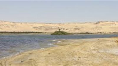 كل ما تريد معرفته عن بحيرة البردويل