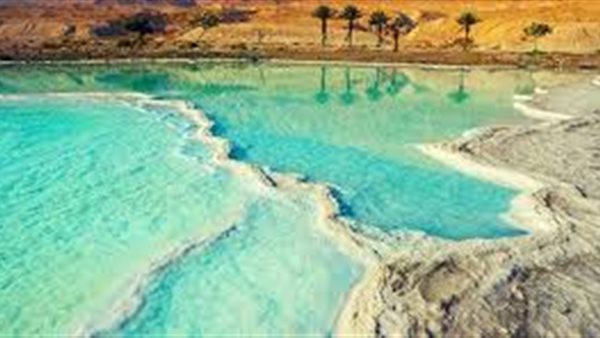 موقع أيام نيوز