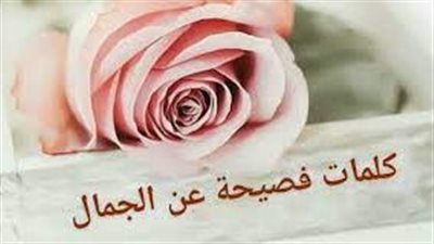 أروع العبارات عن الجمال