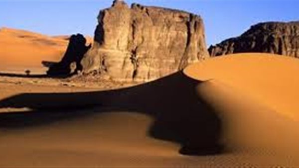 موقع أيام نيوز