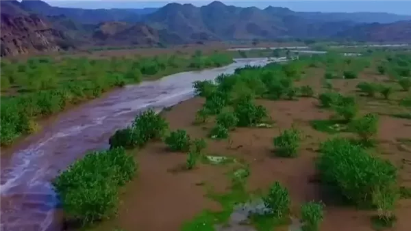 موقع أيام نيوز