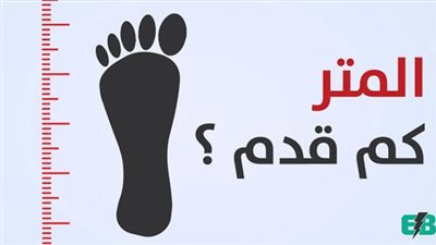 كل ما تريد معرفته عن التحويل من قدم إلى متر
