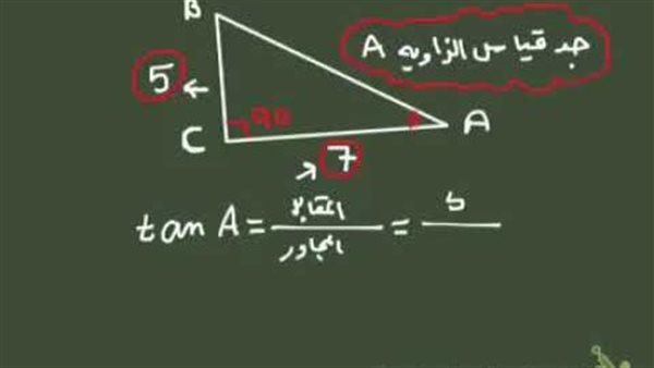 موقع أيام نيوز