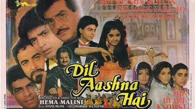 قصة الفيلم الهندي Dil Aashna Hai (...The Heart Knows)